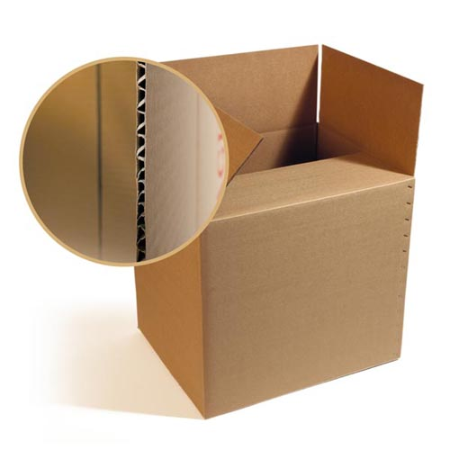 carton-simple-canelurepng_2084258148